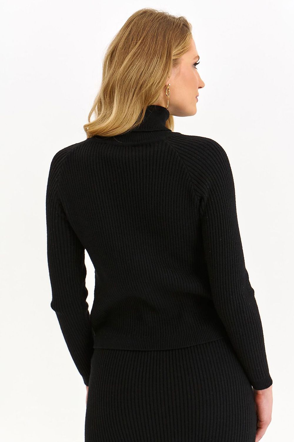 Turtleneck model 187624 Top Secret