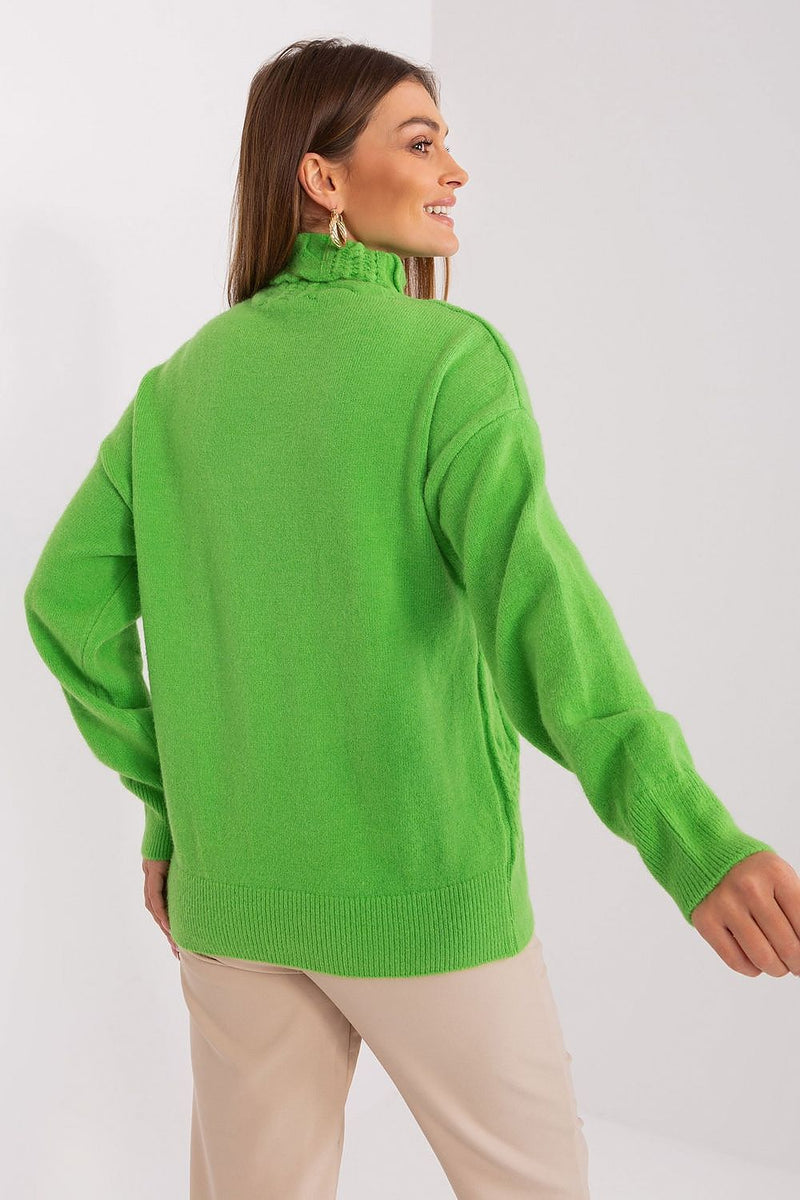 Turtleneck model 189893 AT