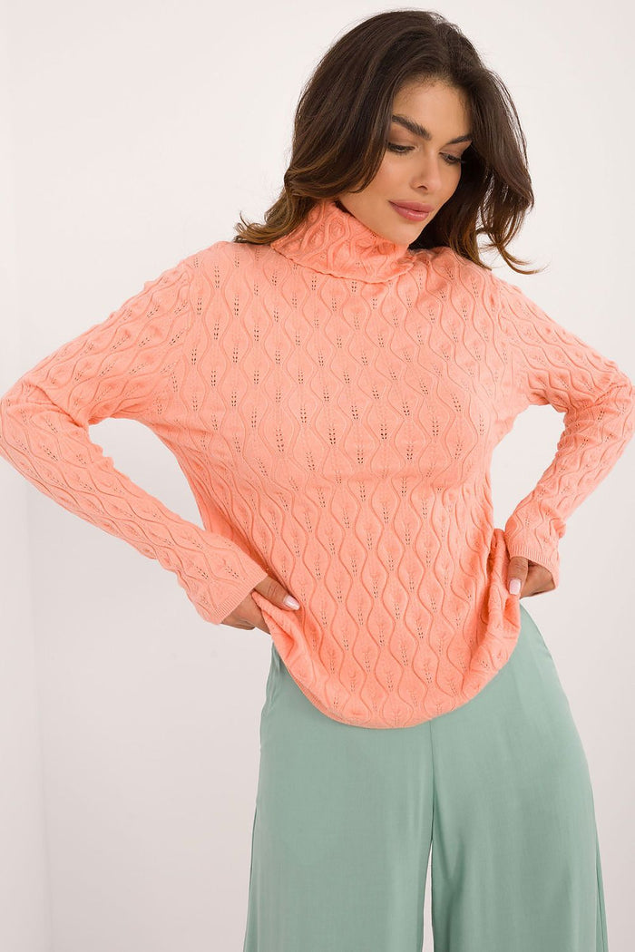 Turtleneck model 203189 AT