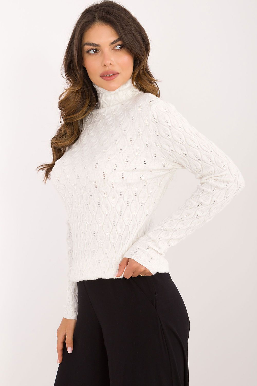 Turtleneck model 203191 AT