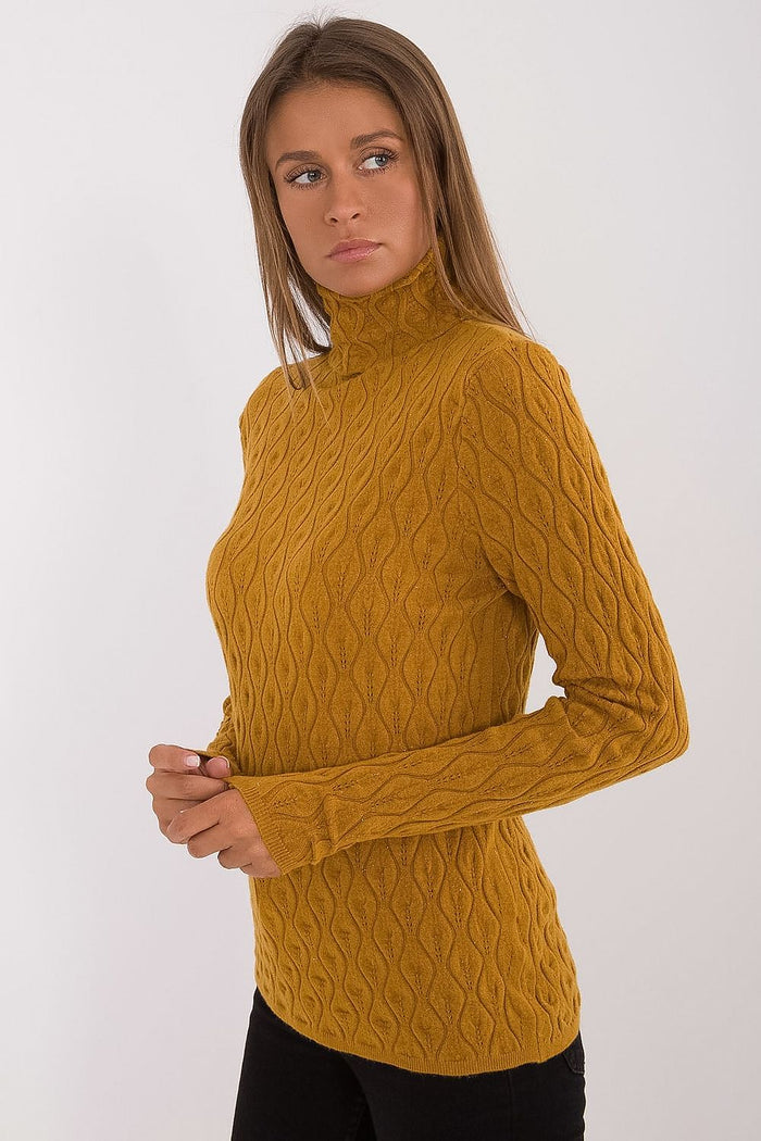 Turtleneck model 203195 AT